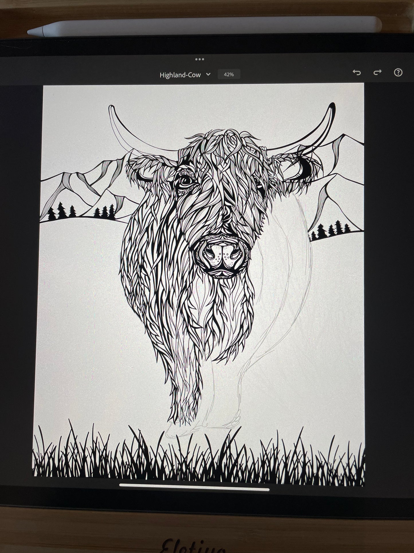 Highland Cow Print